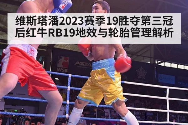 维斯塔潘2023赛季19胜夺第三冠后红牛RB19地效与轮胎管理解析